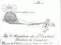 id18023_0001wz.gif