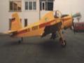 9174.jpg